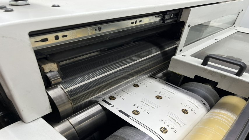 Codimag, Viva 420 Aniflo