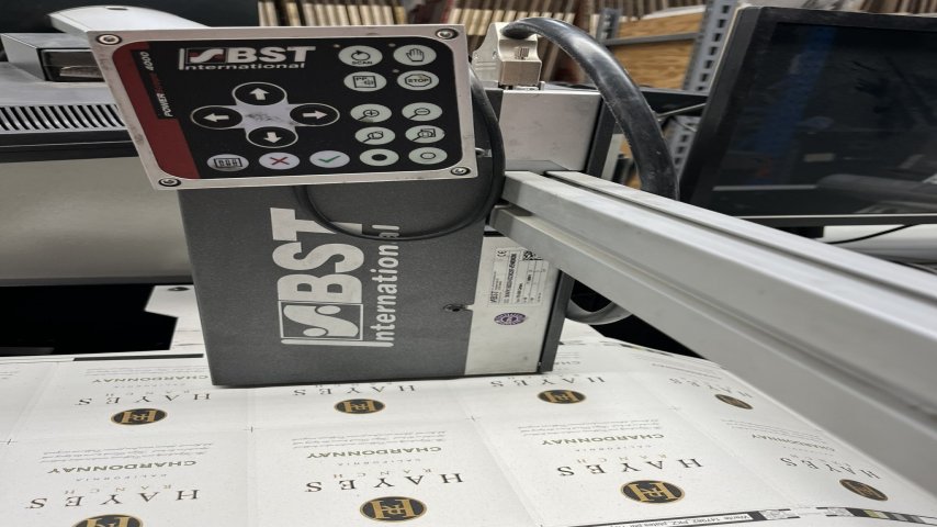 Codimag, Viva 420 Aniflo