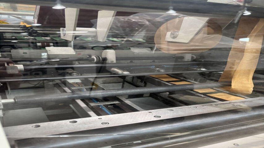 Palamides, Delta 703