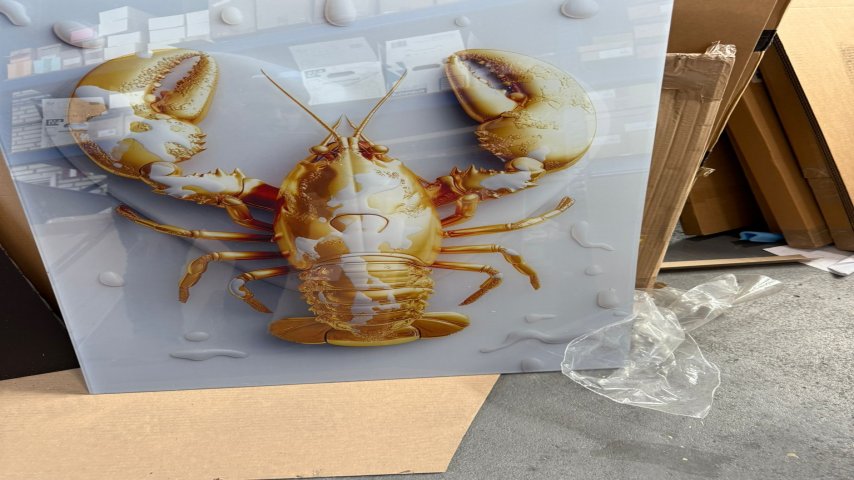 OCE, Arizona 2280 XT